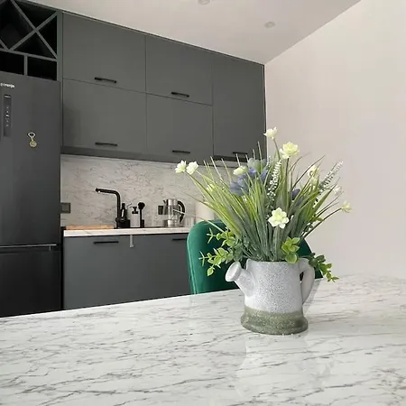 Apartament зелено студио *